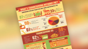 Sara Lee Thanksgiving Pie Infogram - Food Public Relations