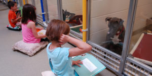 Kids reading to pets