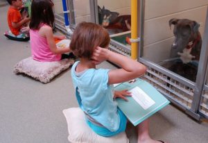 Children reading to dogs