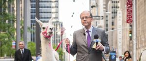 Fox business reporter with a llama